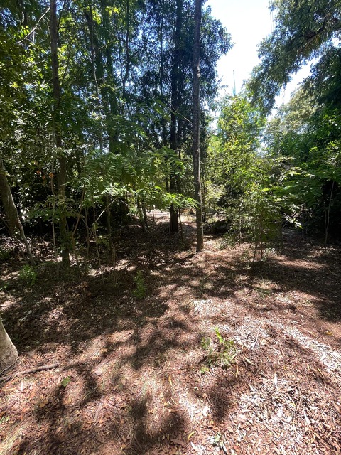 Vendo parcela Camino a Las Termas de Chillán