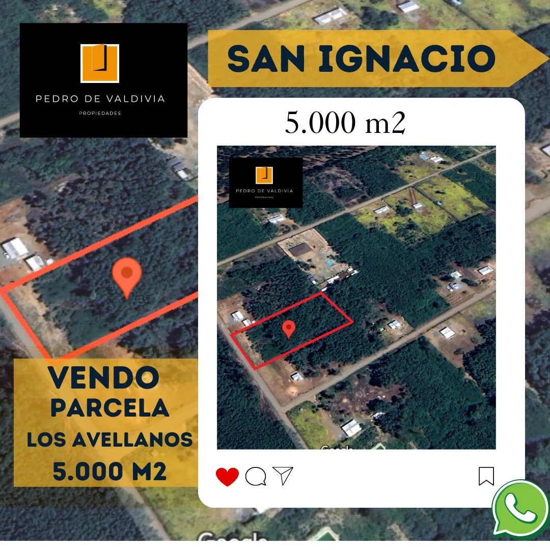 Portada lote 5 san Ignacio