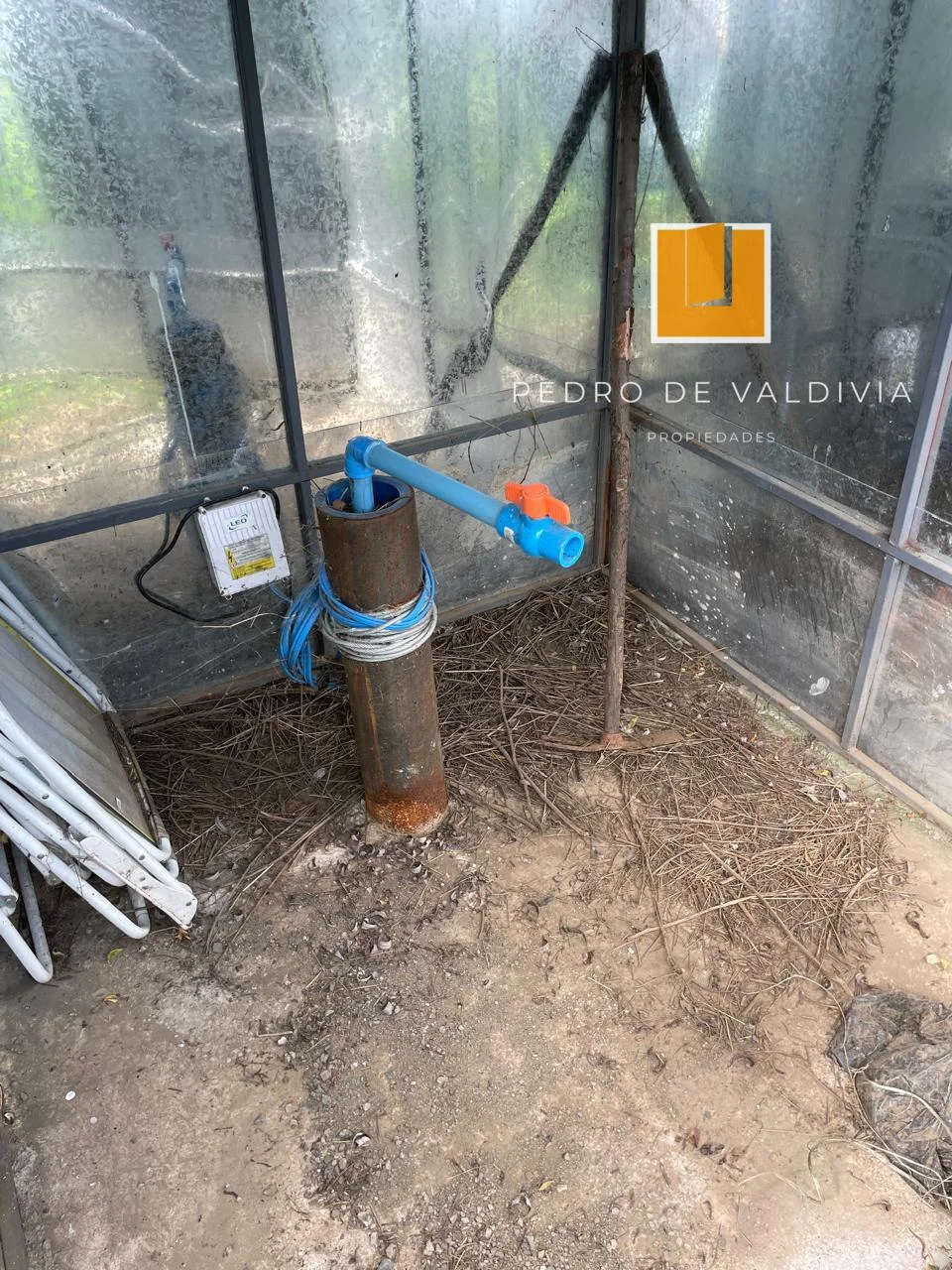 Talquipen Carmen Gutierrez (1)