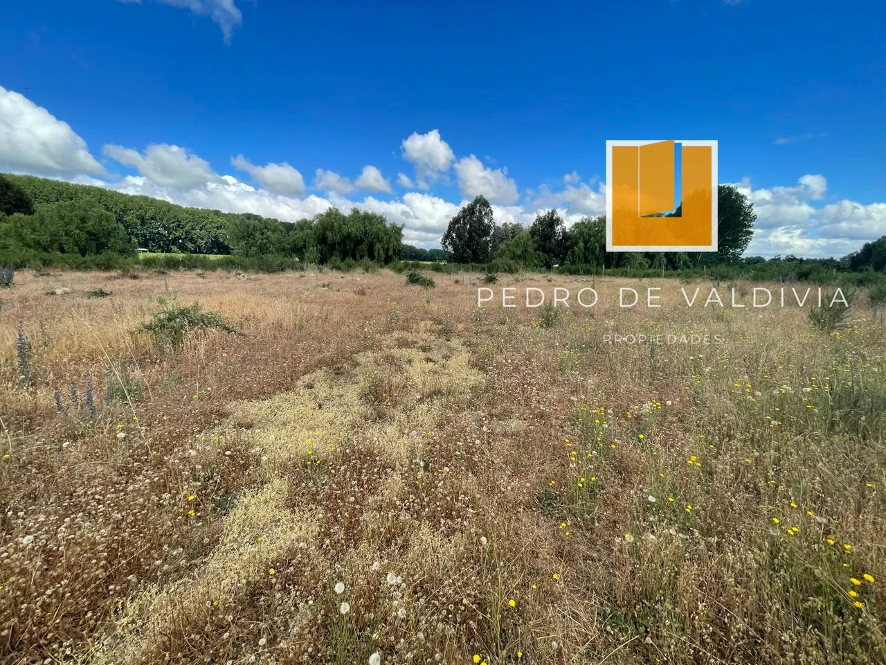 Talquipen Carmen Gutierrez (10)