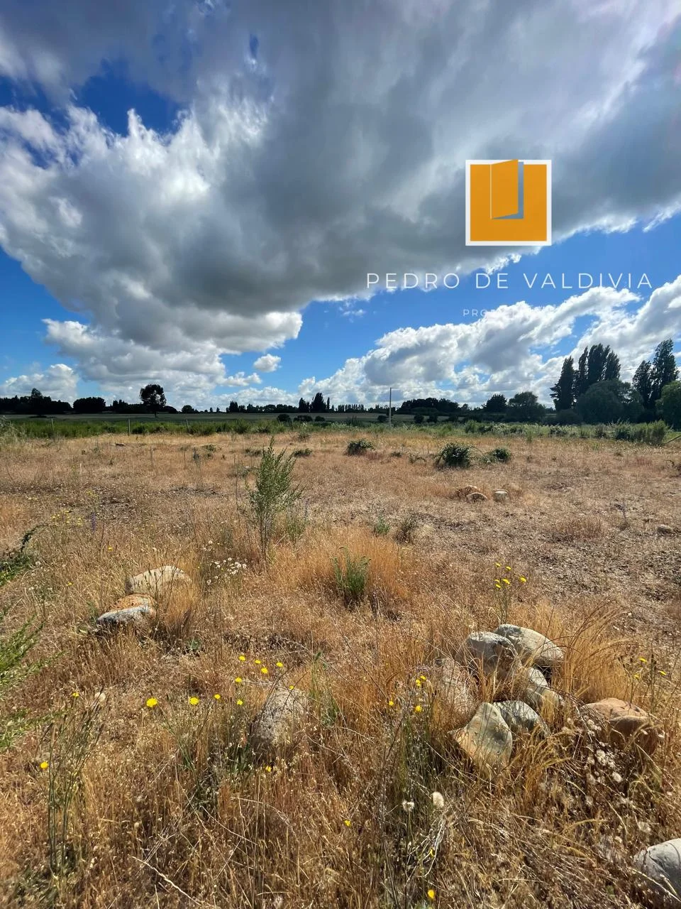 Talquipen Carmen Gutierrez (4)