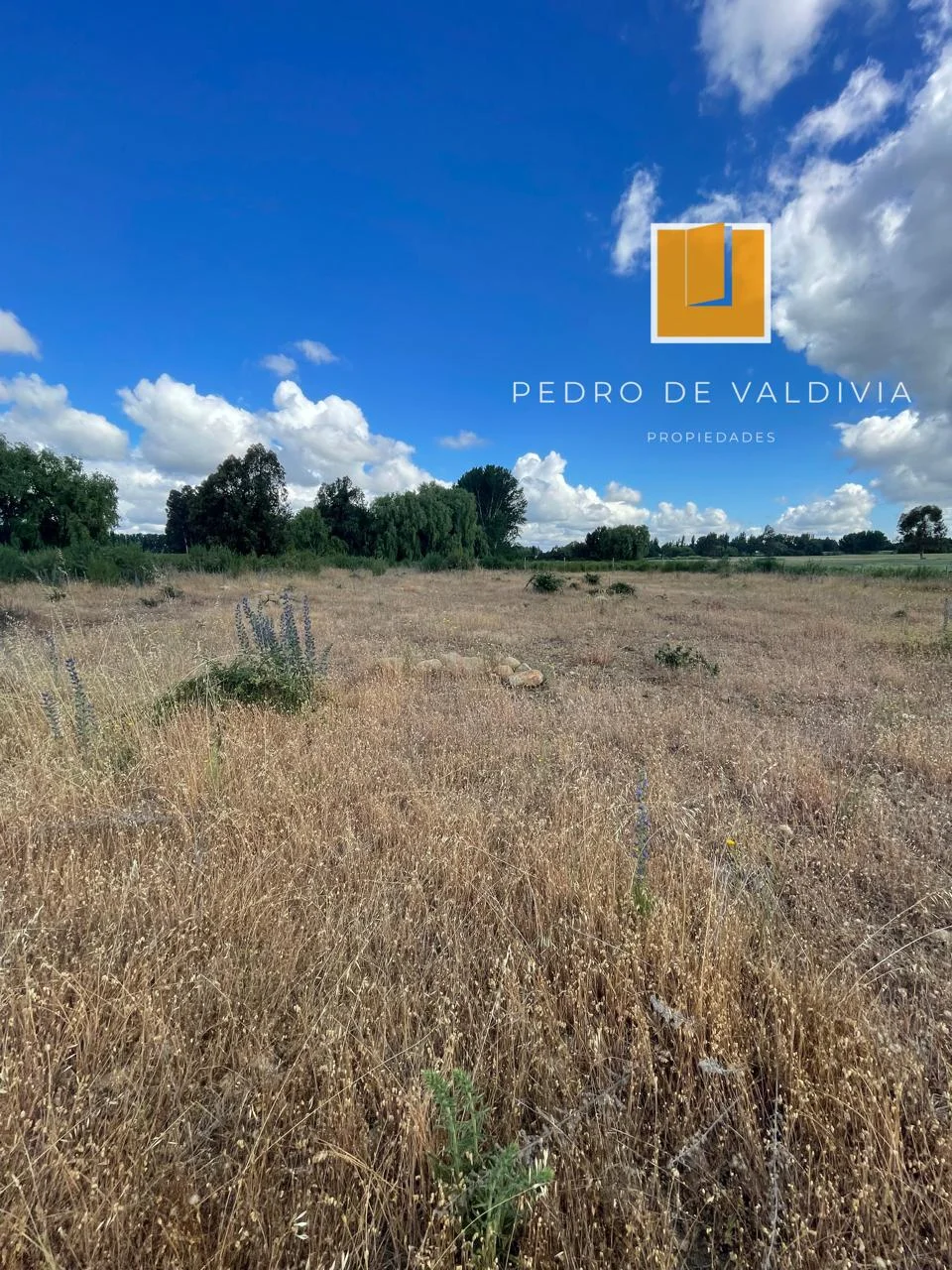 Talquipen Carmen Gutierrez (6)