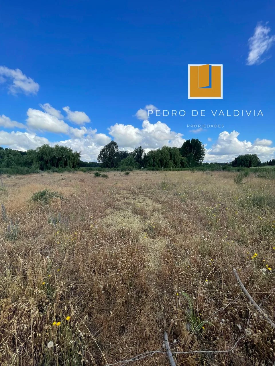 Talquipen Carmen Gutierrez (7)