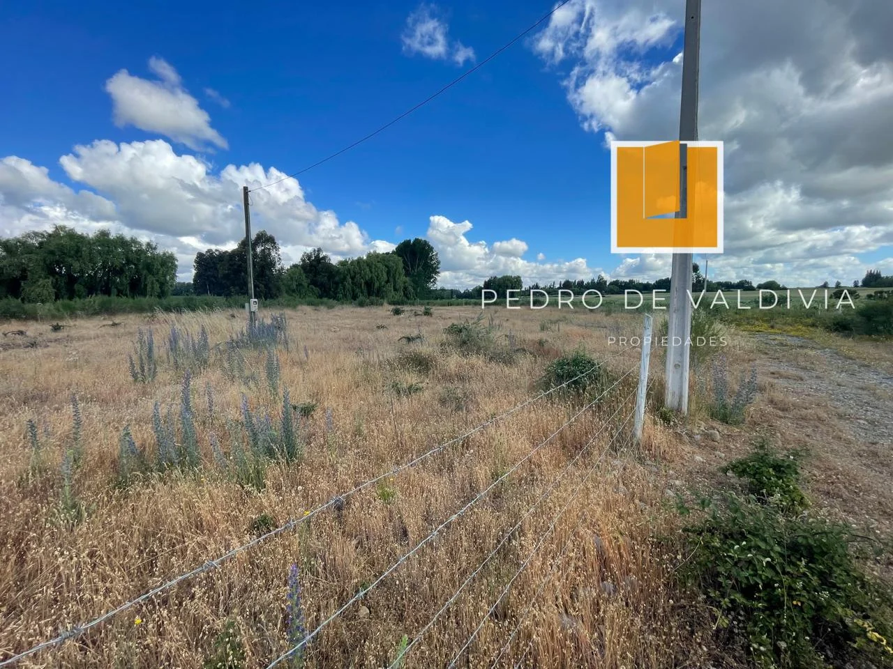 Talquipen Carmen Gutierrez (8)