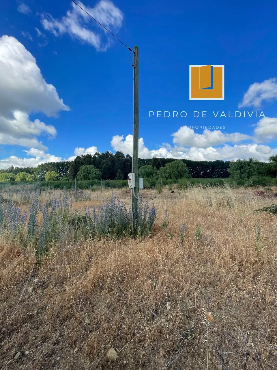 Talquipen Carmen Gutierrez (9)