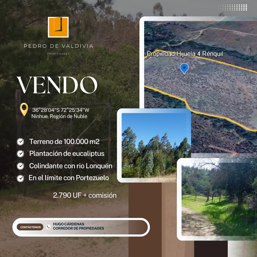 Vendo 10 há en ninhue