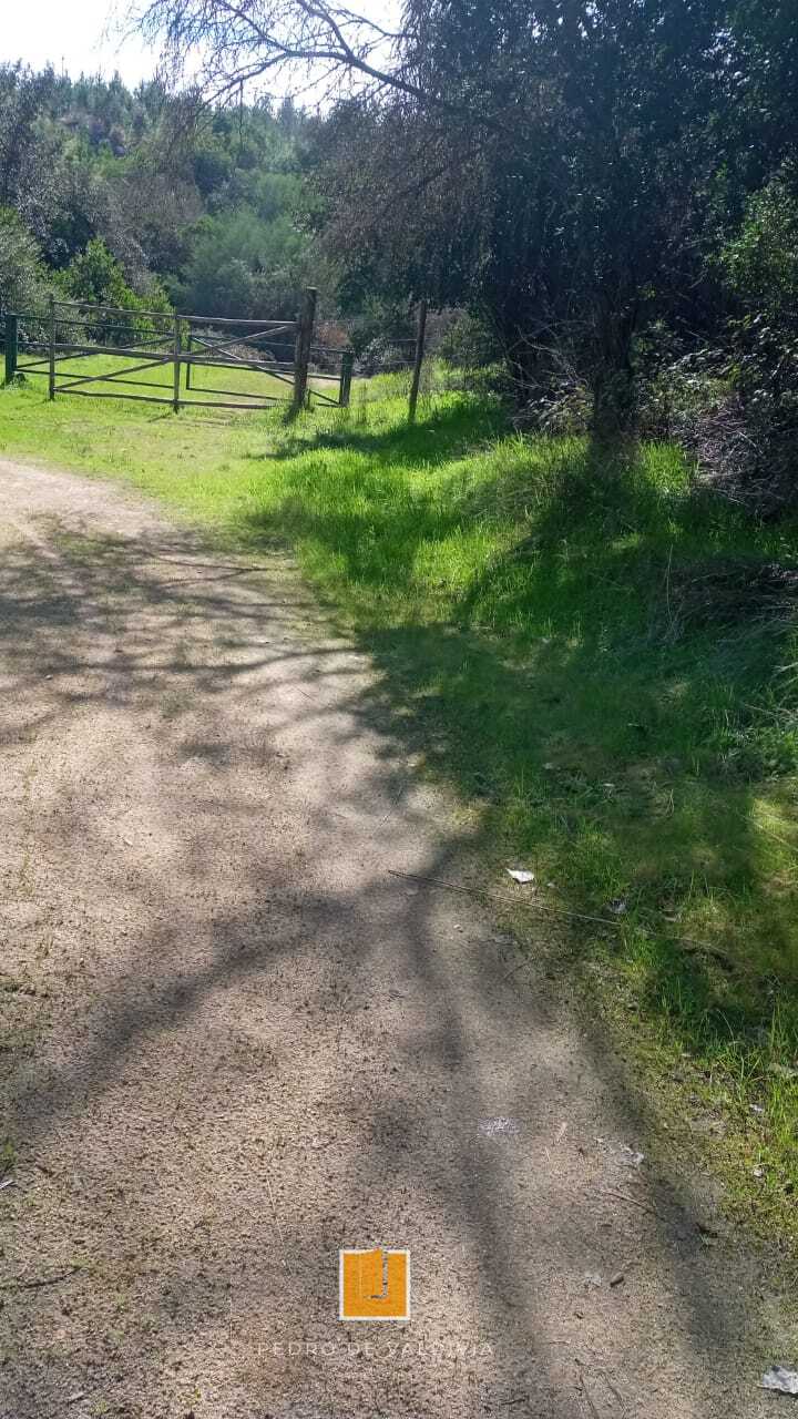 Vendo 10 hectáreas en Ninhue (12)