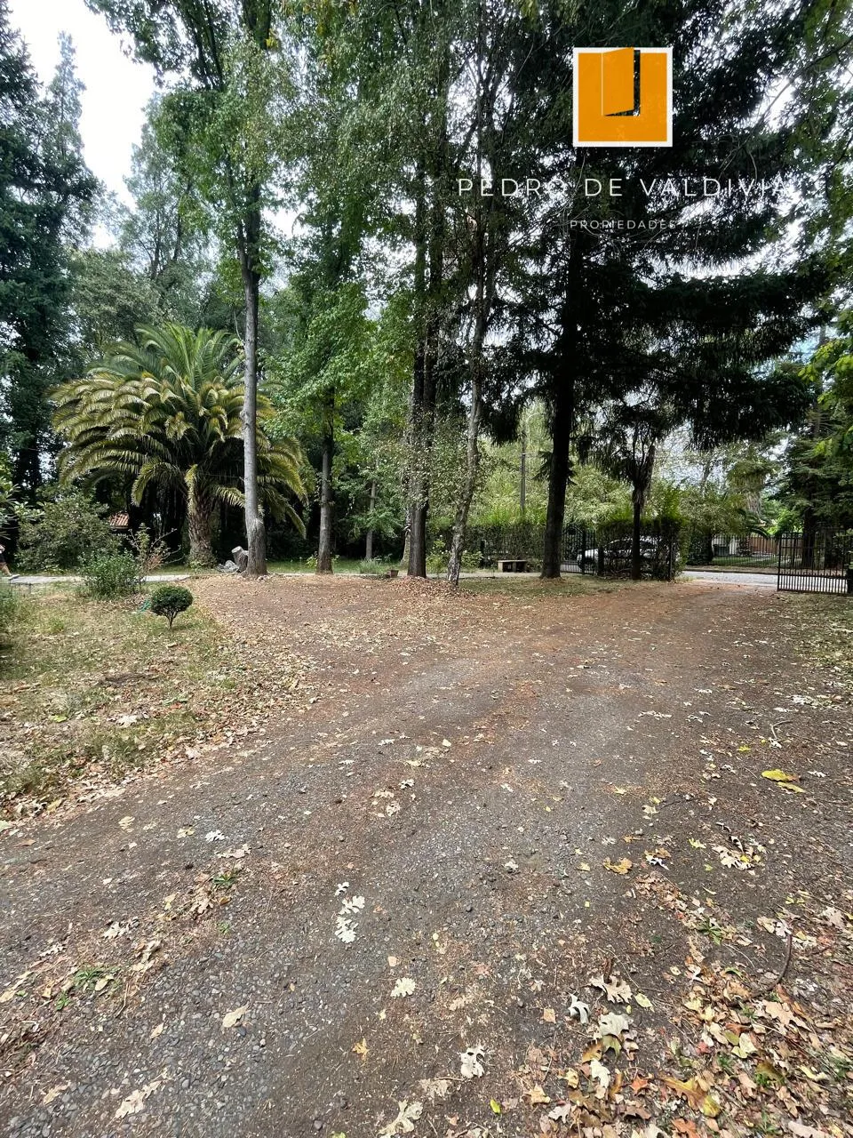 Arriendo casa Las Encinas Chillán (22)