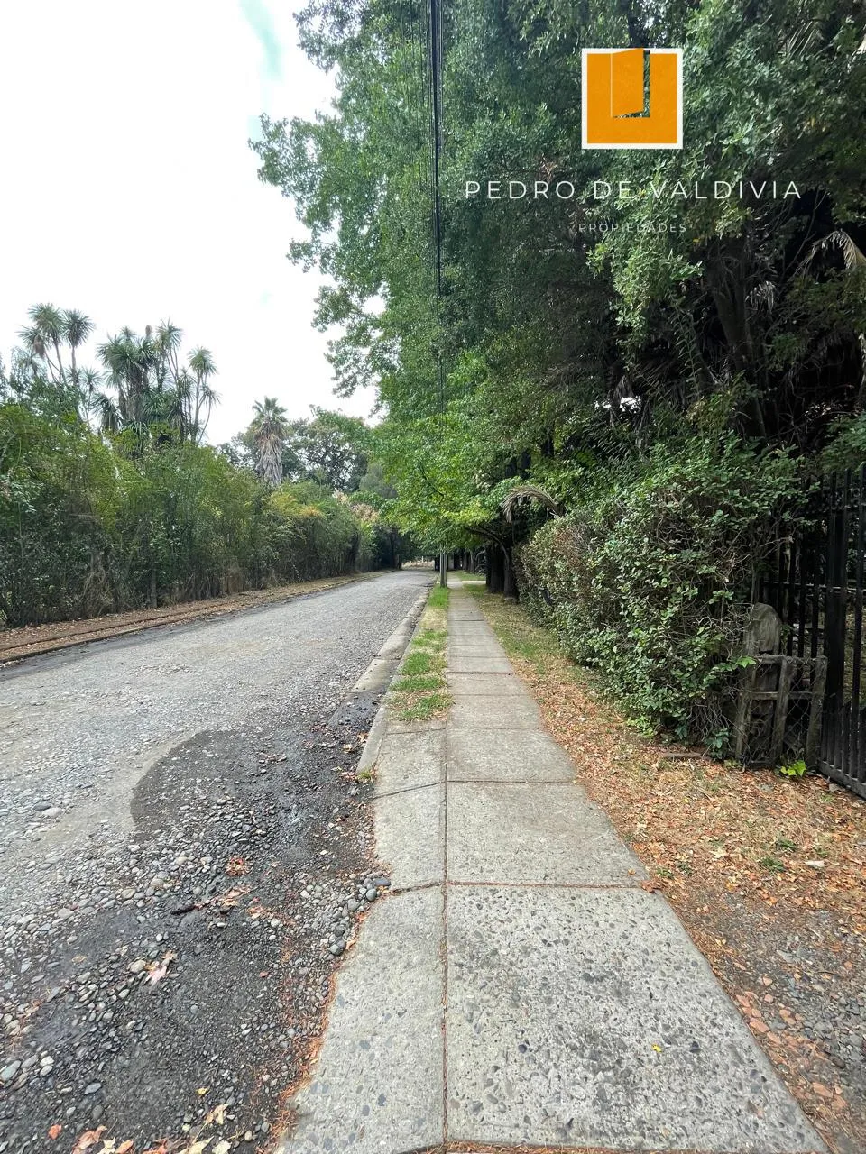 Arriendo casa Las Encinas Chillán (26)